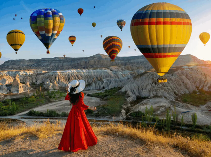 Personal Assistant and Private Driver in Ankara